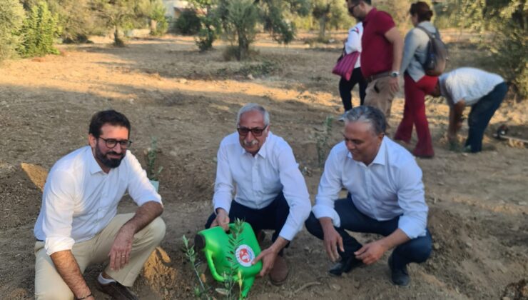 ‘Yeşil Şehirden Yeşil Adaya Projesi’ kapsamında ilk zeytin fidanları dikildi