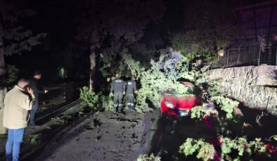 Lefkoşa Kaymakamı Kuyucu:Lefkoşa olarak biz bu olayı diğer bölgelere göre daha hafif atlattık,herhangi bir can kaybı yaralanma olmadı