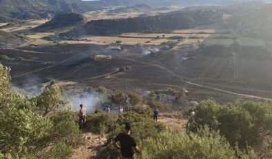 Avtepe-Kuruova arasındaki yangında  400 dönüm arazi zarar gördü