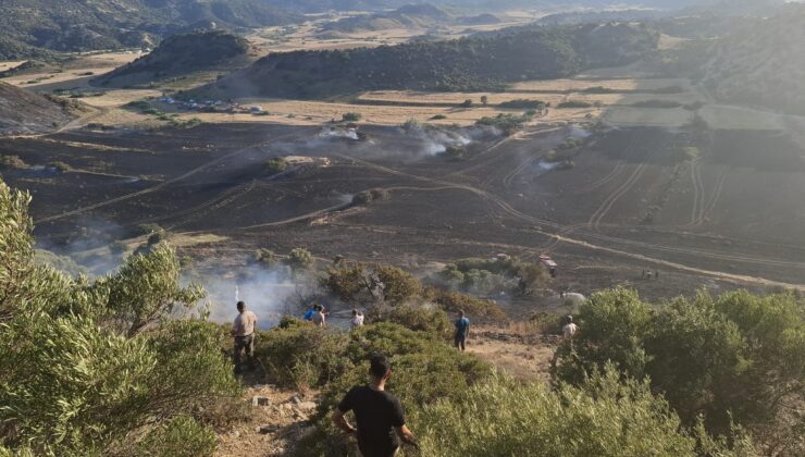 Avtepe-Kuruova arasındaki yangında  400 dönüm arazi zarar gördü