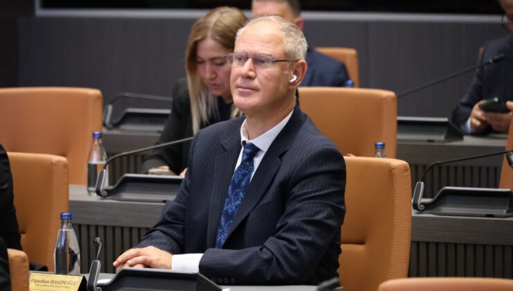Hasipoğlu: Avrupa Birliği, Kıbrıs sorununu çözümsüzlük girdabına tutsak ediyor