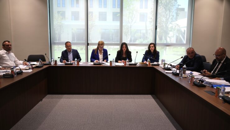 Ekonomi, Maliye, Bütçe ve Plan Komitesi bugün sigorta yasa tasarılarını görüştü