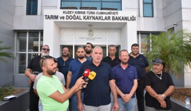 Hayvan üreticileri hükümete seslendi: Artık planlı üretim yapmak istiyoruz